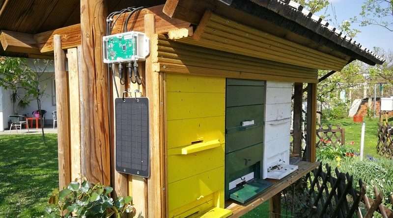 Čebelarska tehtnica je ključno orodje za zagotavljanje uspešne čebelje populacije v vsaki sezoni