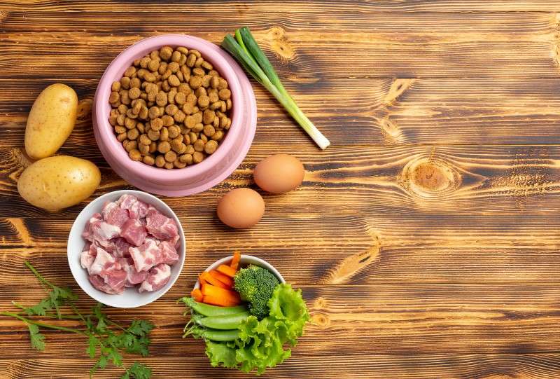 zdrava hrana za pse, ki je surova ali hladno stiskana.