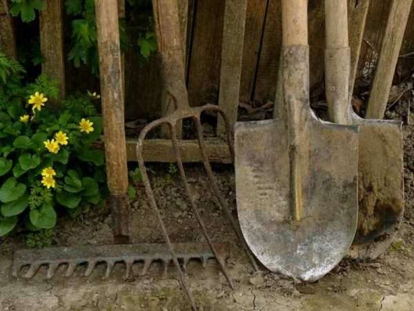 osnovno vrtno orodje za vrtnarjenje